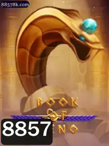 Descubra o Fascinante Mundo de BookOfKeno: Regras e Dinâmicas do Jogo